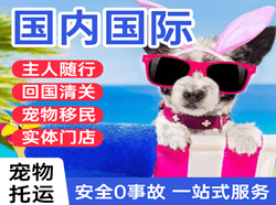 深圳航空物流国际宠物托运 【国